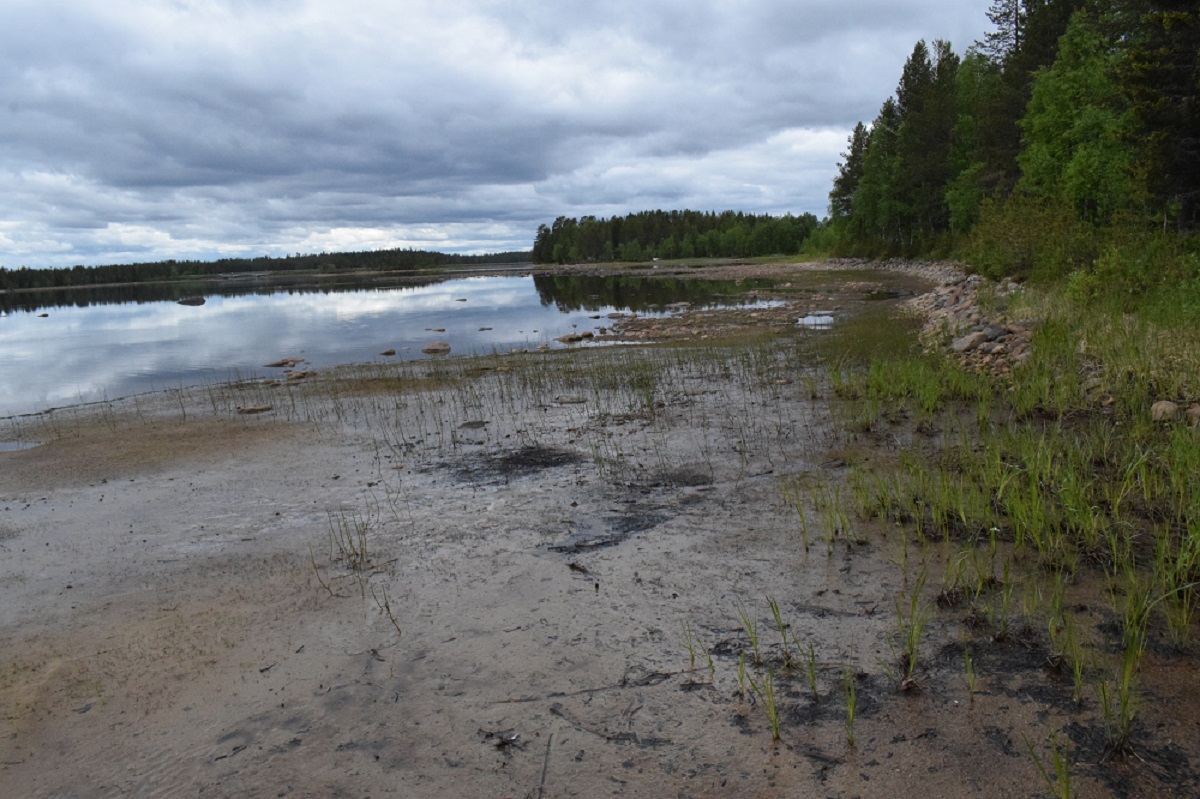 hiljainen kansa 006.JPG