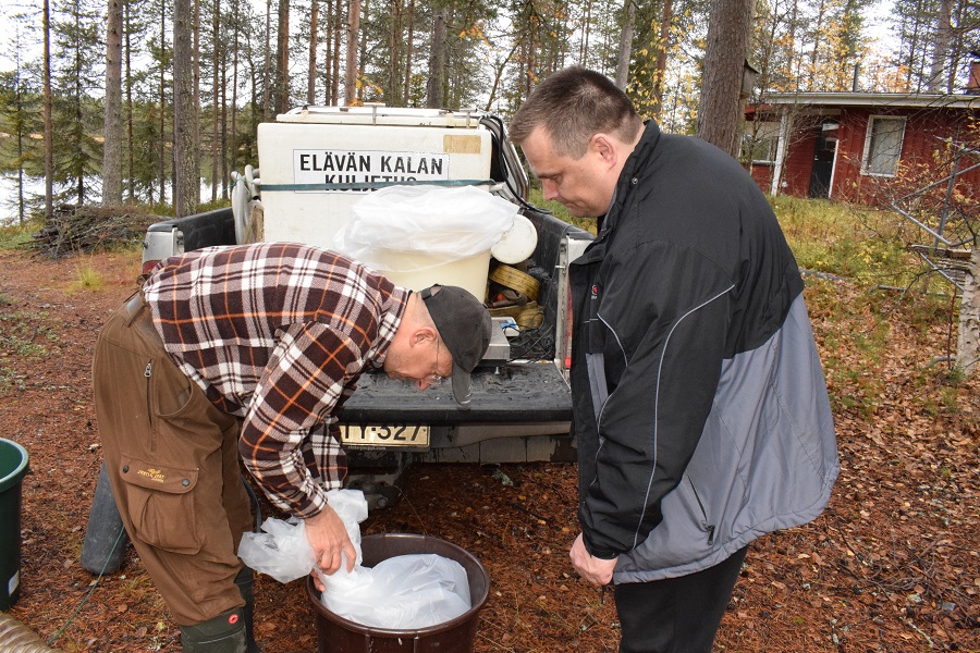 istutukset2017-2 002.JPG