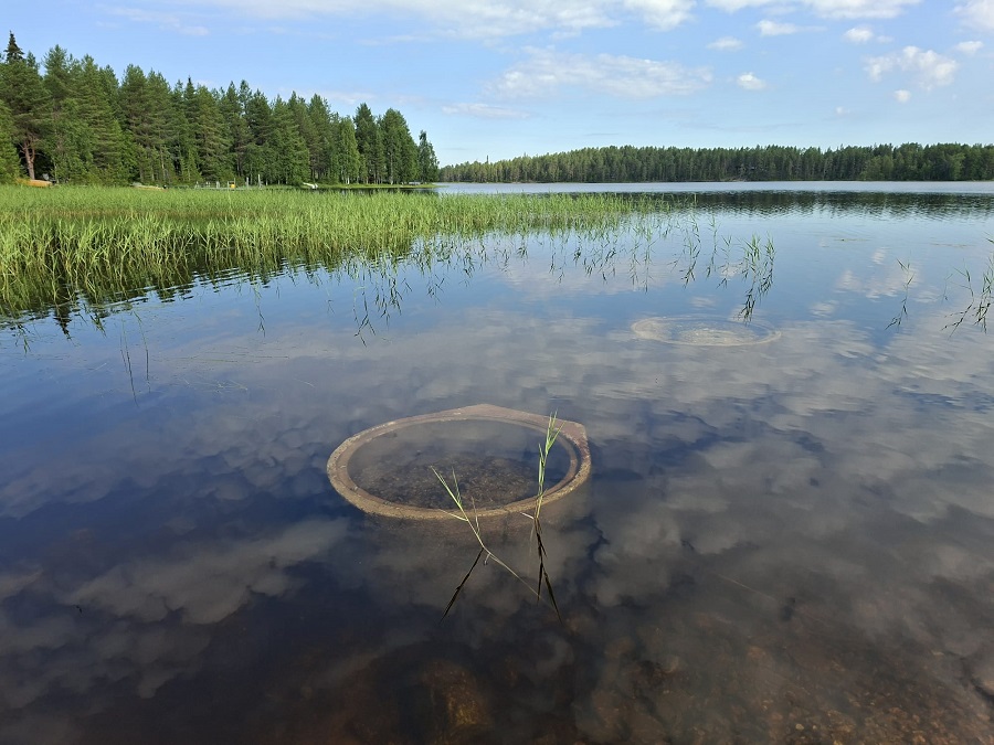 särkelä1.jpg